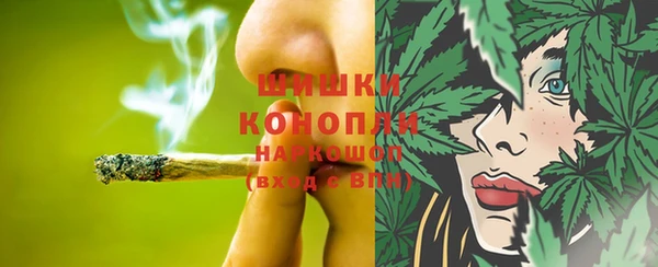 хмурый Яровое