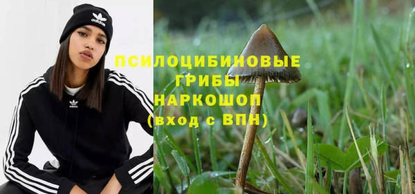 хмурый Яровое