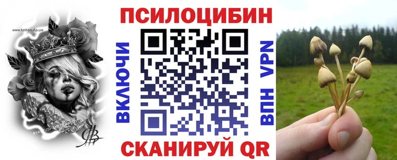 Псилоцибиновые грибы прущие грибы Белинский