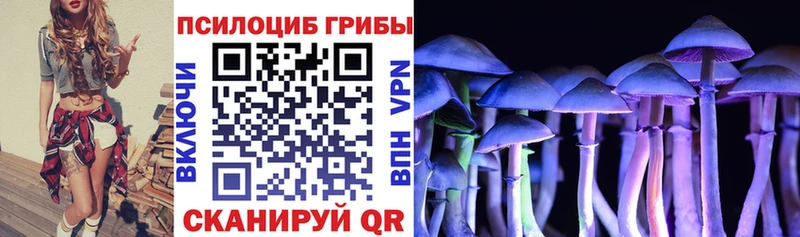 Псилоцибиновые грибы Psilocybine cubensis  Белинский 